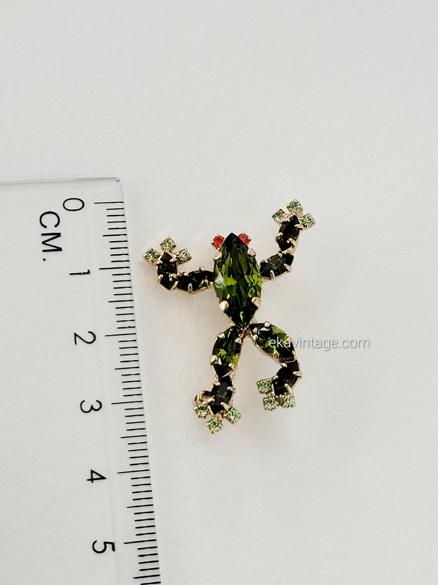 Agatha-Broche Grenouille