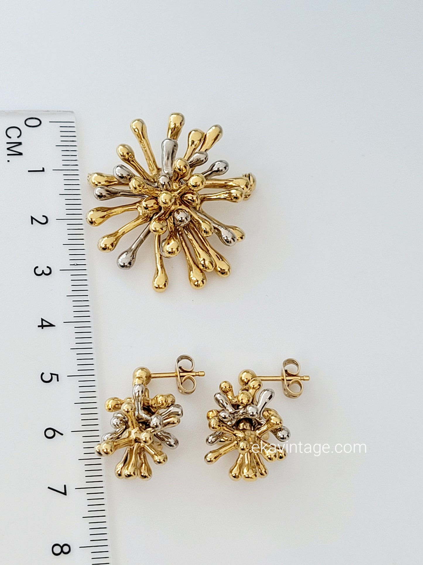 Charles Jourdan - Broche et boucles d'oreilles